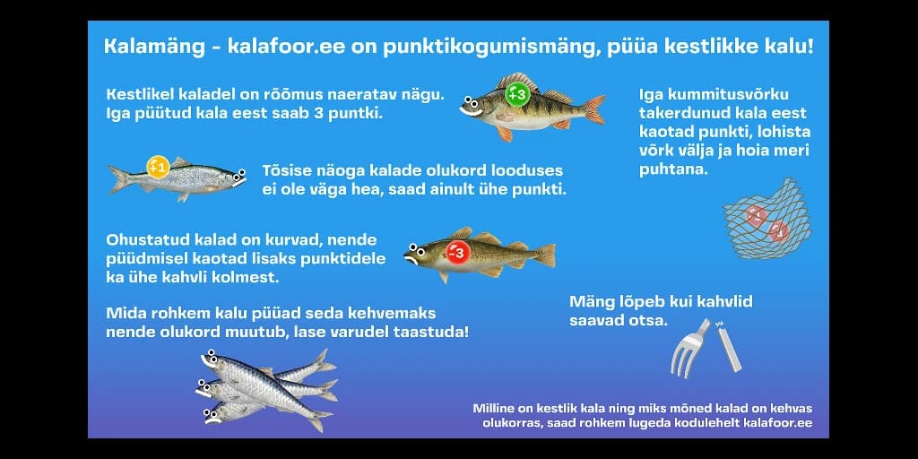 kalafoor web image 2