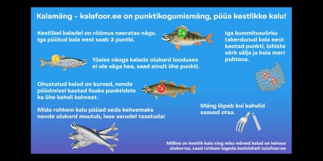 kalafoor web image 2