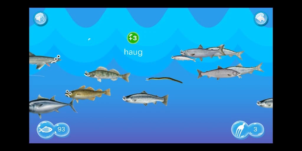 kalafoor web image 3
