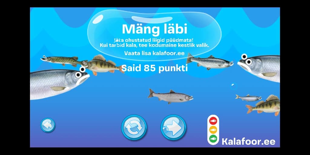 kalafoor web image 5
