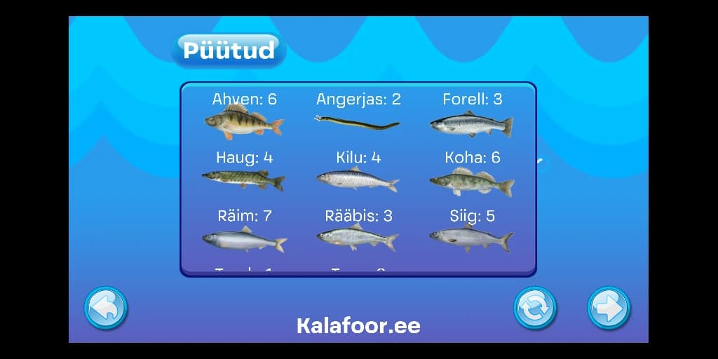 kalafoor web image 6