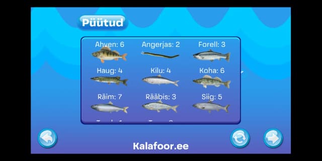 kalafoor web image 6